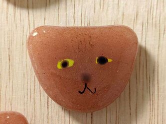 【usuislabo】glass cookies - 茶トラ猫の画像