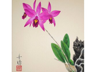 日本画色紙 「アンセプス」の画像