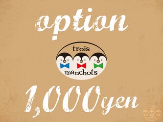 【オプション】1000円チケットの画像