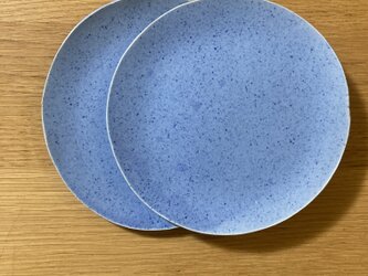 薄い青の皿の画像