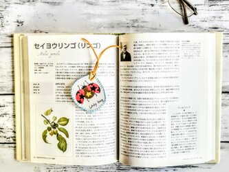 手刺繍のてんとう虫のしおり　キーホルダー　白と茶色　リバーシブル　フェルトの画像