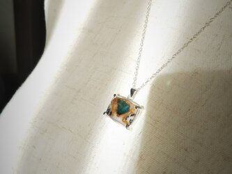 SV925 アパタイト・イン・ジャスパーのペンダントの画像
