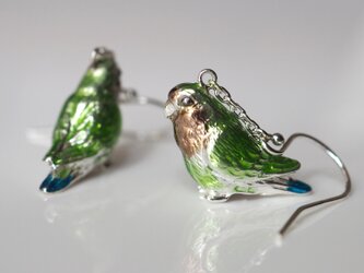 コザクラインコピアス イヤリングの画像