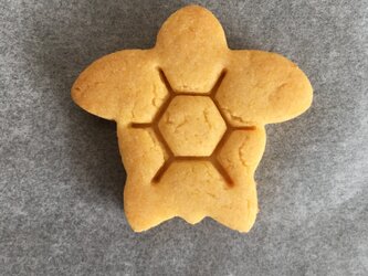 海亀　クッキー　型の画像
