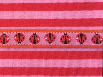 ドイツ FB社 刺繍リボン 1m てんとう虫 ピンク262の画像