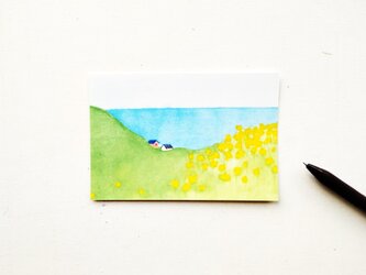 ③「菜の花と海」/ポストカード３枚の画像