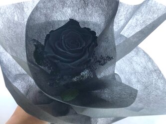 プリザーブドフラワー大輪の黒薔薇一輪花束永遠の愛（花束ラッピング）の画像