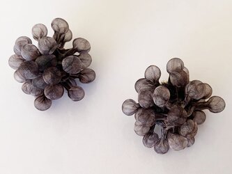 Quguriイヤリング「Spores 茶」の画像