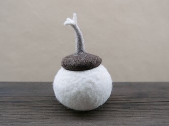 毛器　蓋物Dの画像