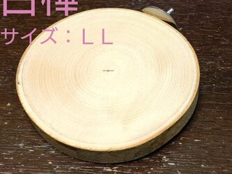 丸太切り株の止まり木（白樺：ベビーピンク）（TOY-08-022) LLの画像