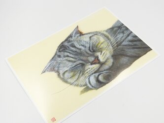【原画がテレビドラマで使用中】A4アニマルアートプリント 「眠り猫」 額無しの画像