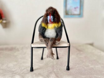 悩み多きマンドリルの画像