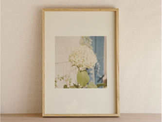 インテリアフォト『 - botanical "Hydrangea" -』の画像