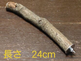 止まり木（枝：TOY-08-015）T123 | iichi ハンドメイド・クラフト作品