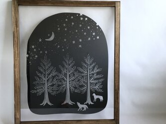「星降る森」の画像