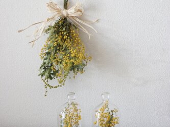 (再販）mimosa hymy＊小さなガラスドームとミニ花束の画像