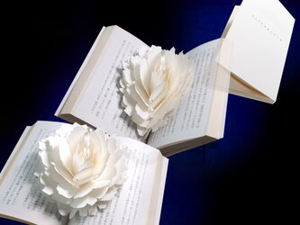紙の花のしおり　ポップアップペーパーブックマーク〈ピオニー〉の画像