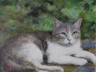 庭のねこの画像