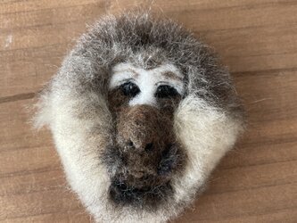 チベットモンキーの顔ブローチの画像