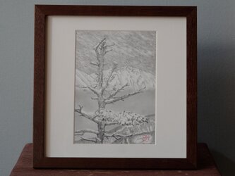 白馬マウンテンアート　ピエゾグラフ作品　老木と白馬岳の画像