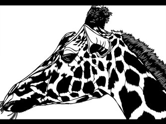 キリンの画像