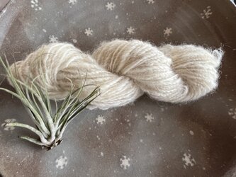 手紡ぎ野良糸　ニュージーランド産ペレンデール羊(白)Bの画像