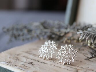 Silver earring「Little joy」の画像