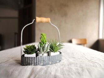 多肉植物のブリキバケットセット ■ フェイクグリーン ■アロマストーンキューブ　Greenの画像