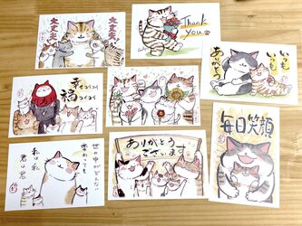 猫のポストカード：ありがとうセット：お得な８枚入りの画像