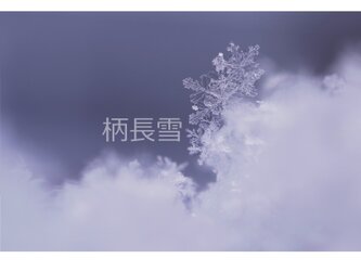 雪の結晶の写真 ２Ｌサイズ　＃１３０３の画像