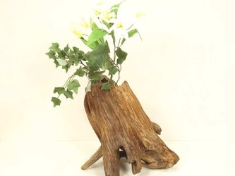 【温泉流木】存在感ある美しいナナメ根流木の花器 花瓶 流木インテリアの画像