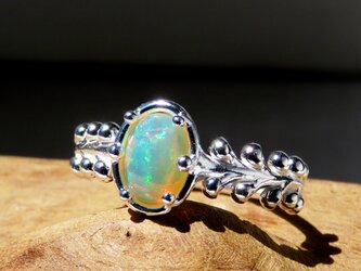 オパールリング / Botanical  Opal Ringの画像