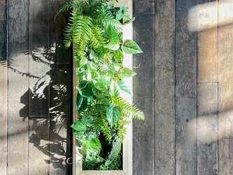 ●和室によく合う● ありそうでないんです。 『苔』のインテリアグリーン フェイクグリーン 壁掛け 卓上の画像