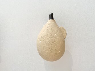 実のオブジェ(壁掛け)の画像