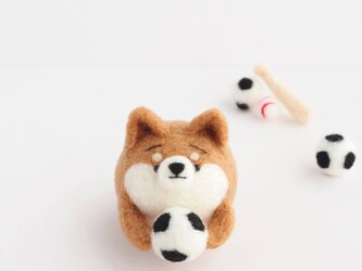 【受注製作】まゆ柴犬とサッカー(赤柴・黒柴・白柴)　羊毛フェルトの画像