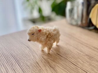 モコモコ羊のブローチの画像