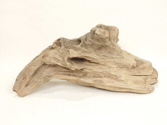 【温泉流木】置き方いろいろ不思議な塊の流木 流木素材 インテリア素材 木材の画像
