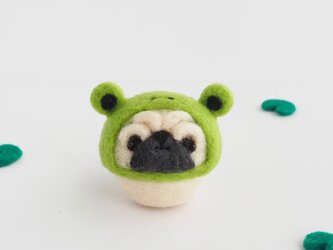 【受注製作】なりきりカエルのまゆパグ(フォーン・黒)  羊毛フェルトの画像