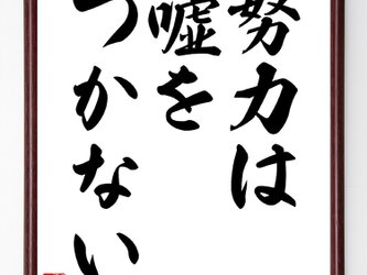 名言『努力は嘘をつかない』額付き書道色紙／受注後直筆／Z3144の画像