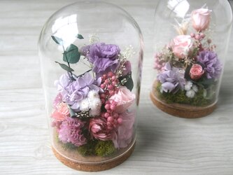 ガラスドーム　-lavenderpink 02-の画像