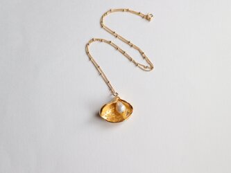 貝殻と真珠のネックレスの画像