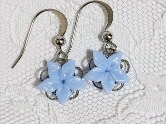 青い花のピアスの画像