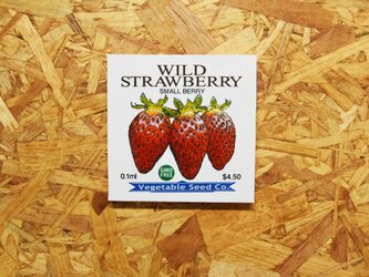 ファブリックパネル『日本野菜二百五十六色表現図』VEGETABLE SEED CARD シリーズ：WILD STRAWBERRYの画像