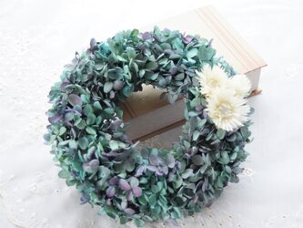フワフワころりん…ブルーの紫陽花リースの画像
