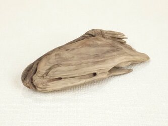 【温泉流木】スピード感ある形状かわいい変形流木 流木素材 インテリア素材 木材の画像