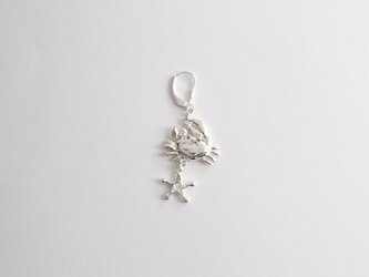 【Silver925】星座になったカニのピアス（イヤリング）【片耳】の画像