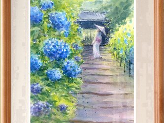 水彩画原画　あじさい・鎌倉 明月院 ＃511の画像