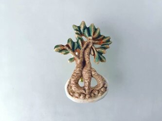 精霊の木「ガジュマル」［陶器ブローチ］の画像