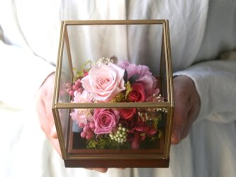 Iron gold  --pink roses-の画像