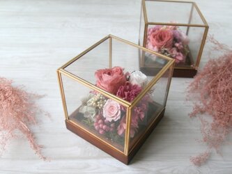 Iron gold square -apricot roses 03-の画像